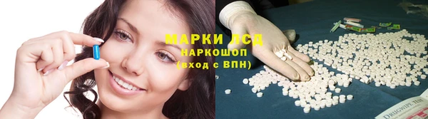 spice Лабытнанги
