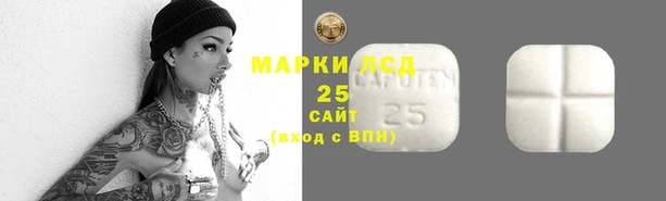 spice Лабытнанги
