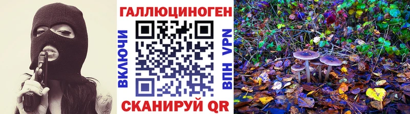 Псилоцибиновые грибы мухоморы  Абакан 