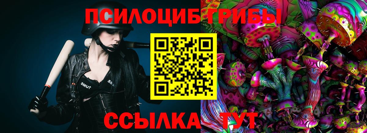 Галлюциногенные грибы мухоморы Абакан