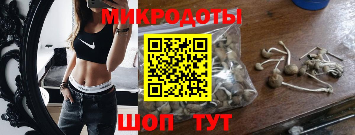 Псилоцибиновые грибы ЛСД Абакан