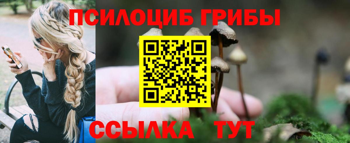 Псилоцибиновые грибы прущие грибы  Галлюциногенные грибы прущие грибы  Вход с VPN  купить наркотики цена  Абакан 